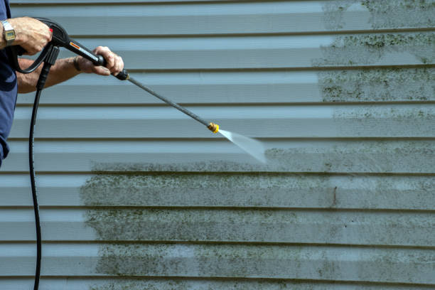 Best Gutter Cleaning and Brightening in Endicott, NY