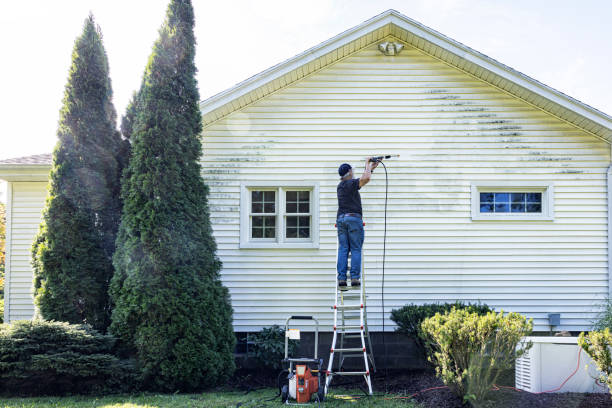 Best Residential Pressure Washing in Endicott, NY